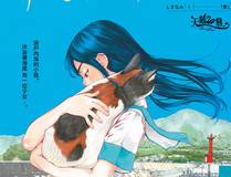 春风十里